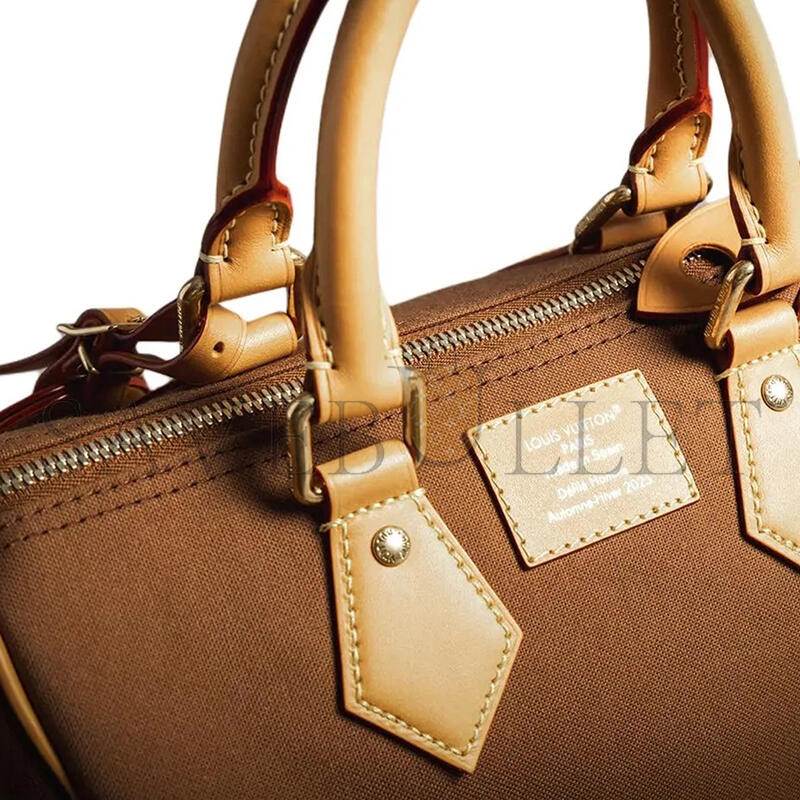 l0*is V*t0n pharrell x nigo speedy bag 25 brown in canvas m15218 (25*15*15cm)